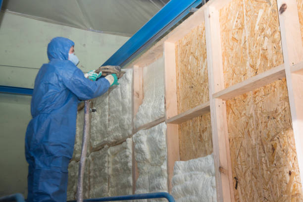 Insulation Inspection Services in Crawfordville, FL